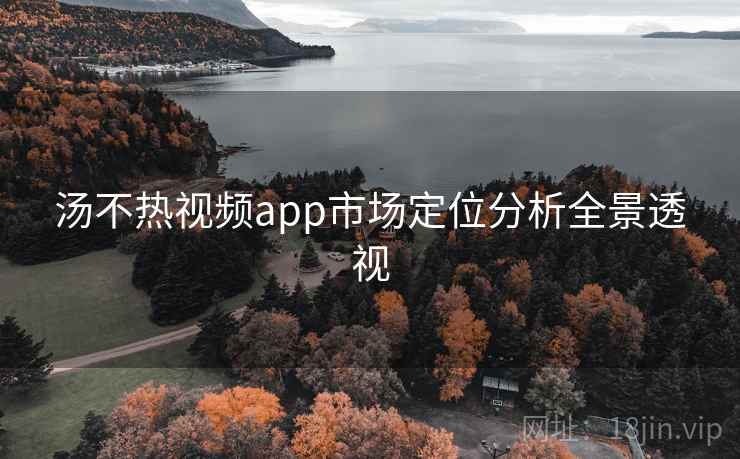 汤不热视频app市场定位分析全景透视