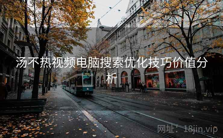 汤不热视频电脑搜索优化技巧价值分析