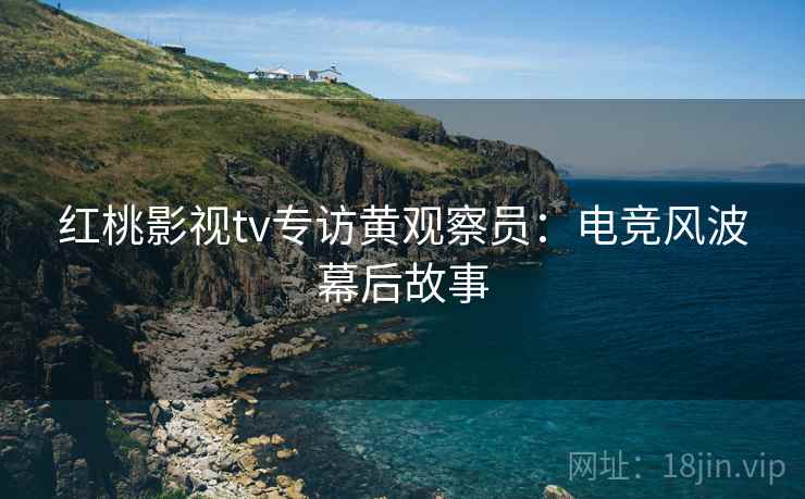 红桃影视tv专访黄观察员:电竞风波幕后故事