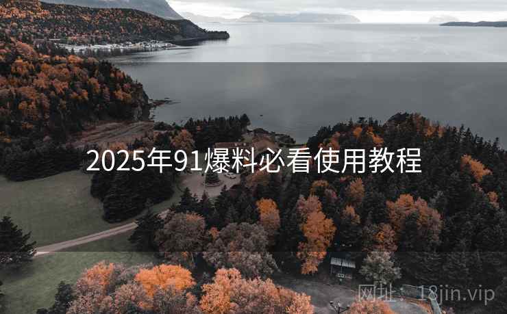 2025年91爆料必看使用教程
