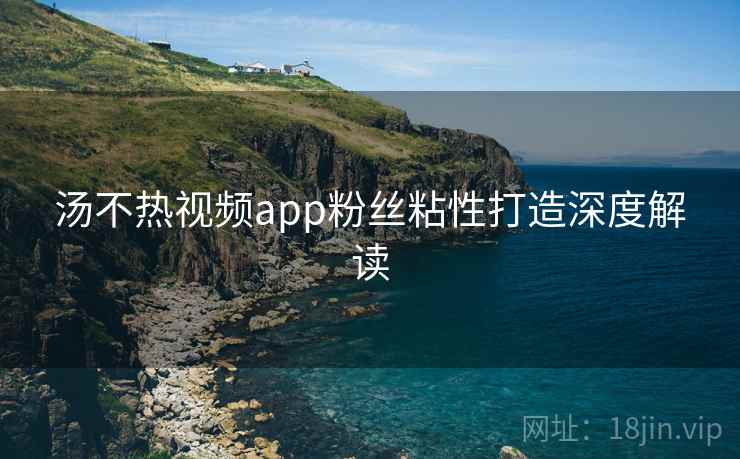 汤不热视频app粉丝粘性打造深度解读